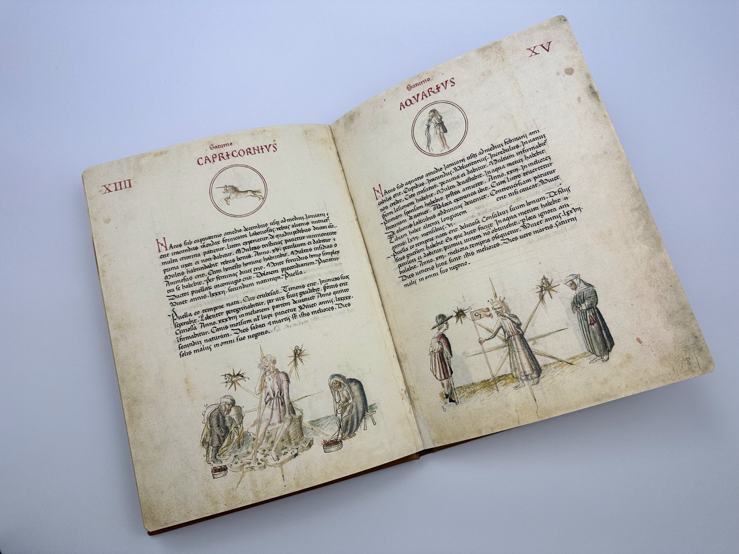 Liber Physiognomiae – Facsimile of an Illuminated Medieval Manuscript – Obrázok 5